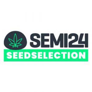 Semi24 SeedSelection